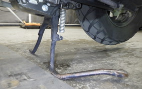 HONDA ZOOMER 2019 AF58