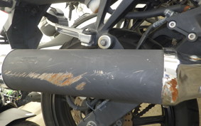 KAWASAKI NINJA 250R 2019 EX250K