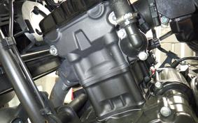 HONDA REBEL 250 MC49