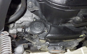 YAMAHA MAXAM 250 SG17J