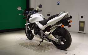 HONDA HORNET 250 2010 MC31