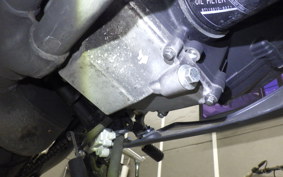 YAMAHA YZF-R25 2021 RG10J