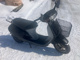 Фото Honda LEAD 90 с японского аукциона