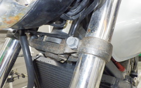 HONDA HORNET 250 2007 MC31