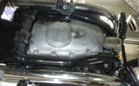 KAWASAKI W800 CAFE 2019 EJ800B