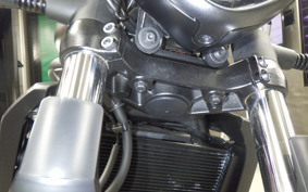 KAWASAKI VULCAN 650 SA 2026 EN650M