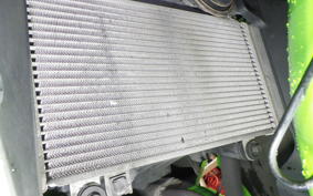 KAWASAKI NINJA 250R 2008 EX250K