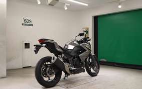 KAWASAKI Z250 A 2024 ER250C