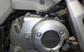 HONDA CT125 HUNTER CUB 2021 JA55