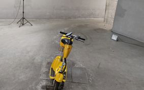 OTHER MINI BIKE ..