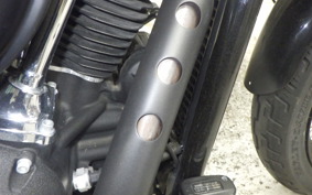 HARLEY FXBB1750 2020