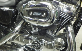 HARLEY L1200LI 2010