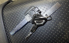 KAWASAKI KLX250D TRACKER X LX250V