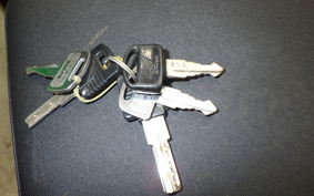 HONDA LITTLE CUB 2022 C50