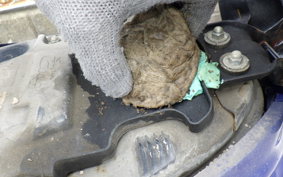 HONDA C50 SUPER CUB AA07