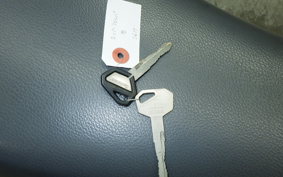 KAWASAKI SUPER SHERPA 2010 KL250G