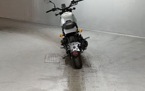 HARLEY X500 W5B
