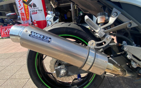 KAWASAKI NINJA 250 EX250L