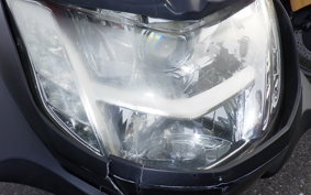 YAMAHA MAXAM 250 SG21J