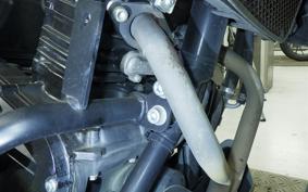 SUZUKI Vｽﾄﾛｰﾑ250