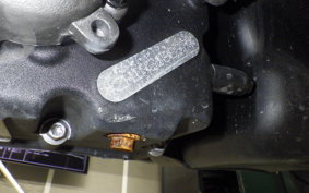 HARLEY RH975 2022