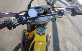 SUZUKI RMX250