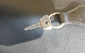 YAMAHA SRV250 RENAISSA 4DN