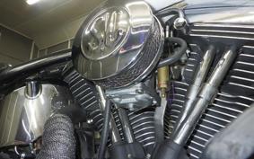 OTHER +HD. FLSTC1340 1999