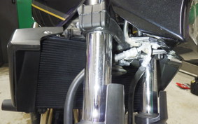 KAWASAKI ZRX1200 D 2009 ZRT20D