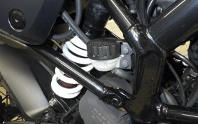 HUSQVARNA SVARTPILEN 401 2024