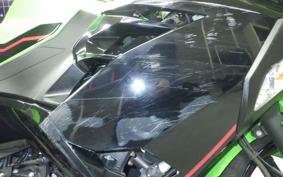 KAWASAKI NINJA 250 EX250P