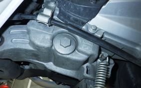 HONDA PCX 125 JF81