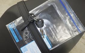 TRIUMPH TRIDENT 660 2026