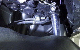 YAMAHA CYGNUSｸﾞﾘﾌｧｽ 2025 SEJ4J