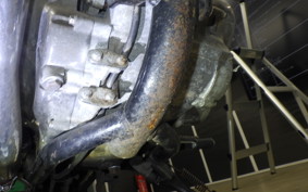 KAWASAKI ESTRELLA RS 2021 BJ250A