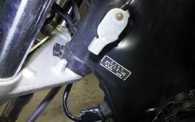 YAMAHA VIRAGO 250 2018 3DM