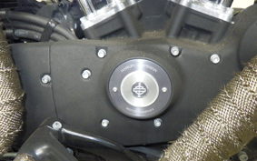 HARLEY XL883N 2010