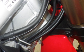 HONDA CRF250L 2025 MD47