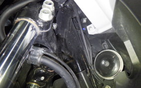 HONDA FORZA 250 MF15