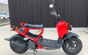 HONDA ZOOMER AF58