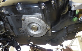 OTHER MUTT250