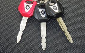 YAMAHA XSR900 2020 RN56J