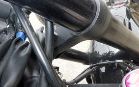 YAMAHA YZF-R25 A RG95J
