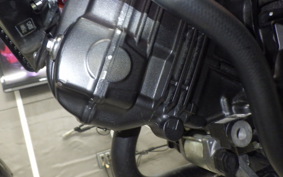 HONDA VTRF250 2005 MC33