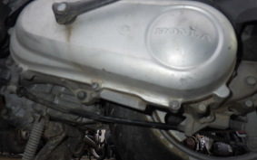 HONDA CREA SCOOPY AF55