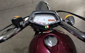 HONDA VT1300CX 2010 SC61