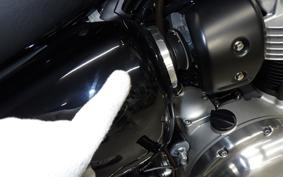 KAWASAKI W800 2025 EJ800E