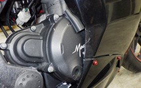 OTHER +ﾒｶﾞﾘ250R 2023