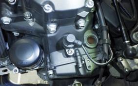 YAMAHA MT-10 SP 2017 RN50J