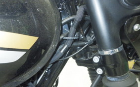 KAWASAKI W800 CAFE 2022 EJ800E